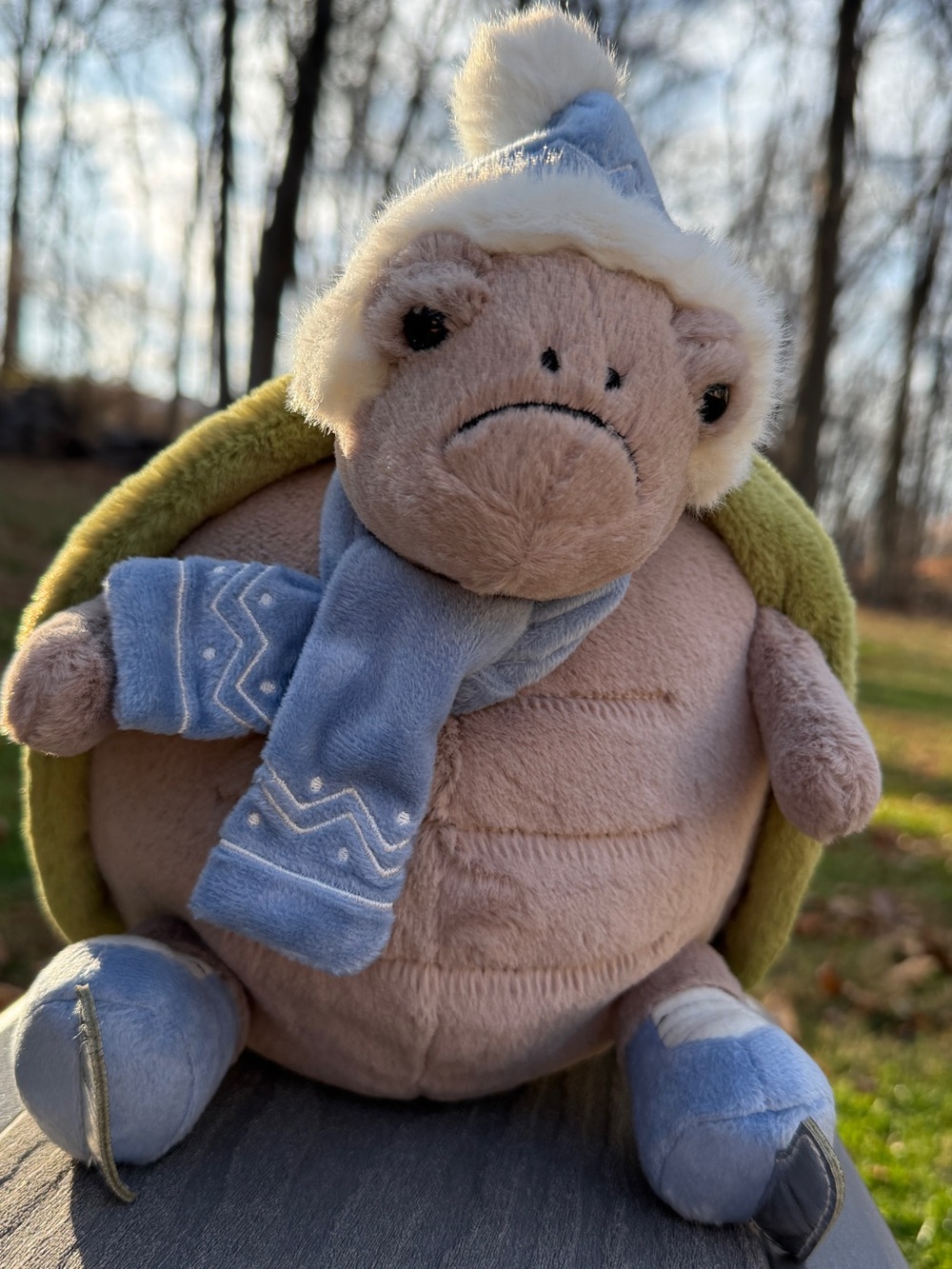 Tim Turtle Skating Jellycat